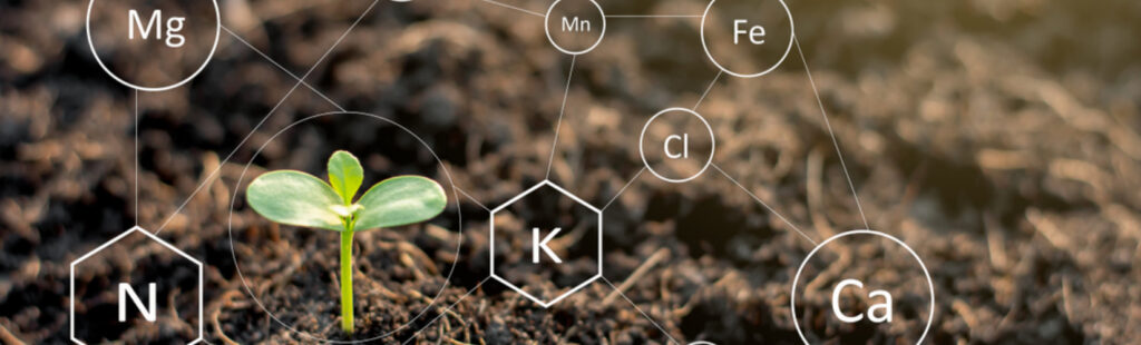La importancia de los Ácidos Húmicos y Fúlvicos en la agricultura y nuestros suelos.