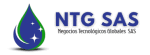 Negocios Tecnológicos Globales