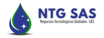 Negocios Tecnológicos Globales