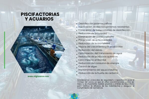 catalogo de sectores_page-0013