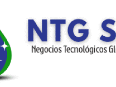 Negocios Tecnológicos Globales