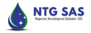 Negocios Tecnológicos Globales