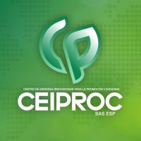 Logo de CEIPROC con diseño moderno